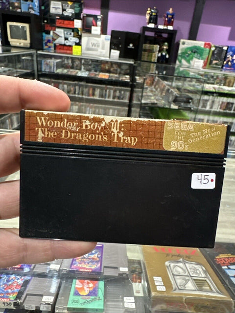 Wonder Boy III: The Dragon's Trap (Sega Master System) SMS Tested!