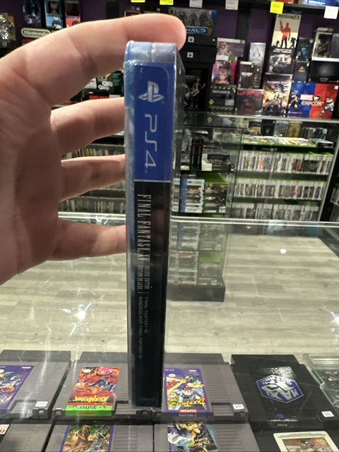 45067905