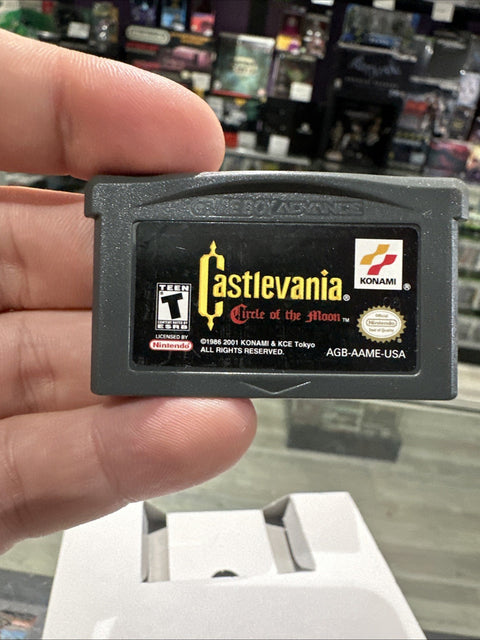 45319884
