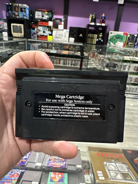 Cloud Master (Sega Master System) SMS Tested!