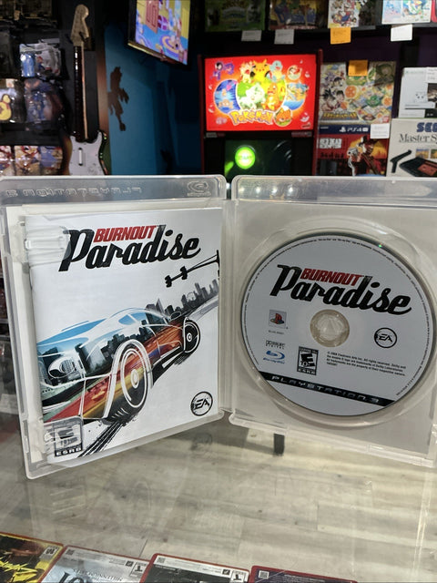 47862304