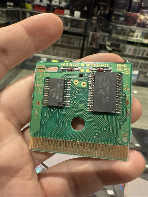 45684404
