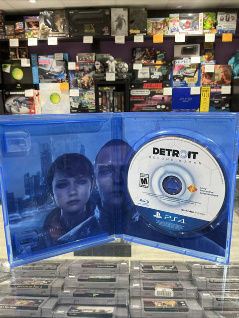 47731538