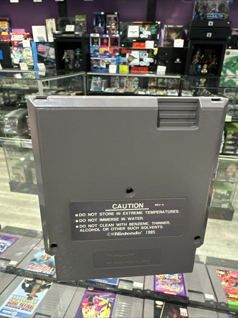 44540043