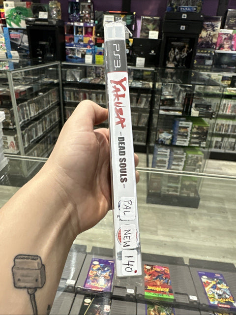 45050681