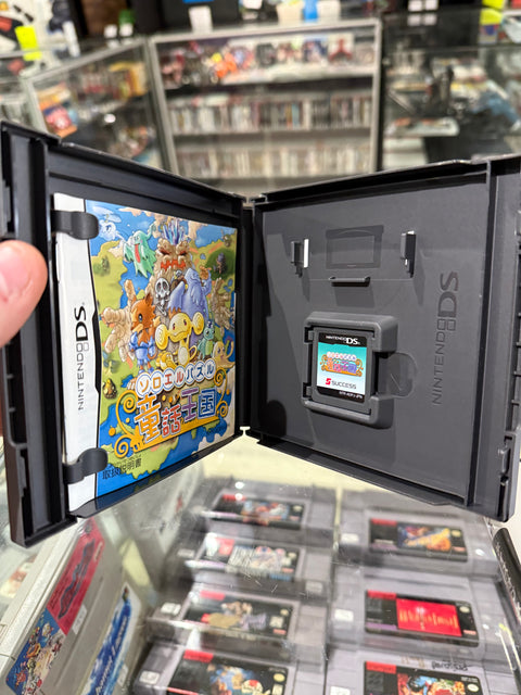 Nintendo DS Japan Import Bundle