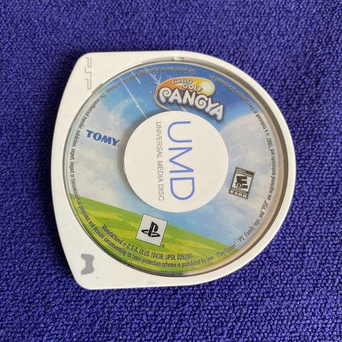 Pangya Fantasy Golf (Sony PSP, 2009) Authentic UMD Only - Tested!