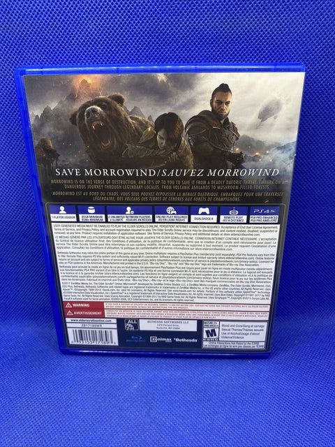 Elder Scrolls Online: Morrowind (PS4 / PlayStation 4) Tested!