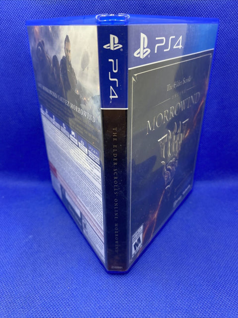 Elder Scrolls Online: Morrowind (PS4 / PlayStation 4) Tested!