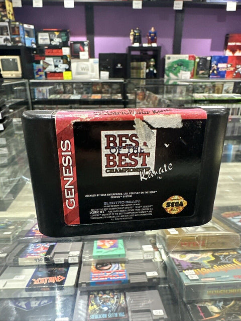 Best of the Best: Championship Karate (Sega Genesis, 1993) Tested!