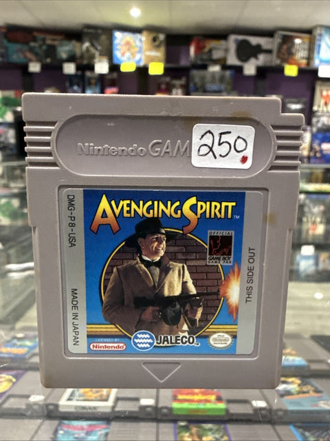 45684404