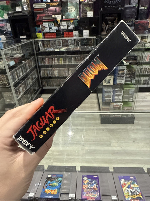 45681824