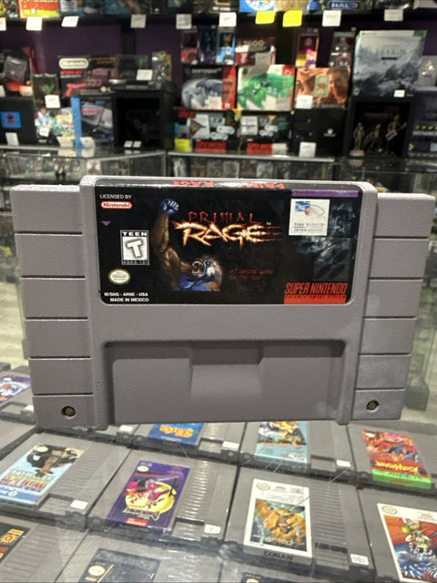 45846400