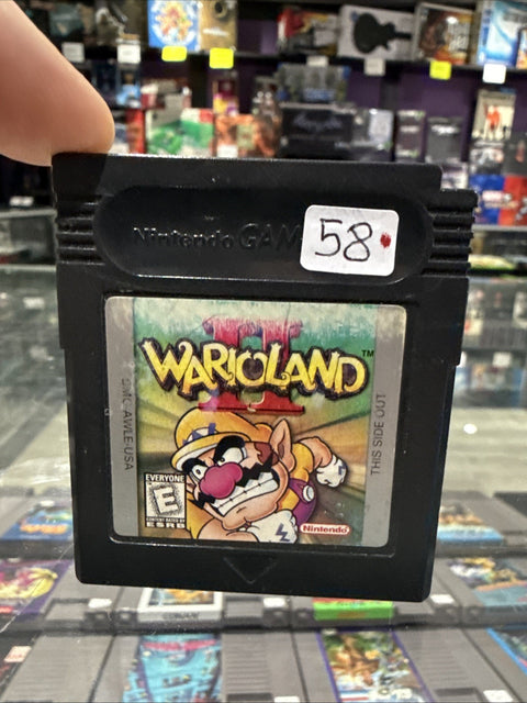45734542