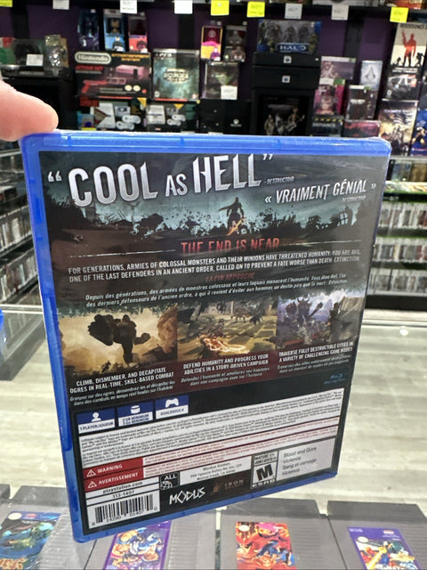 45068533