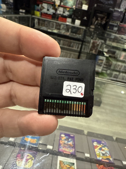 45681880