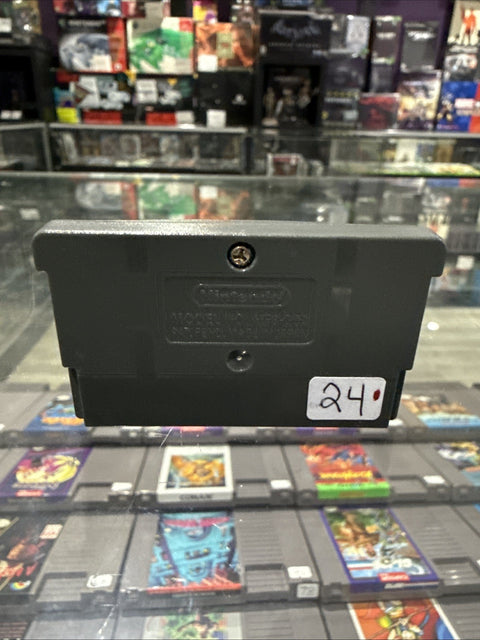 45741950