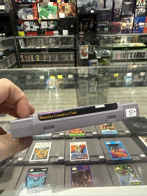 45848306