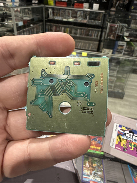 45684406