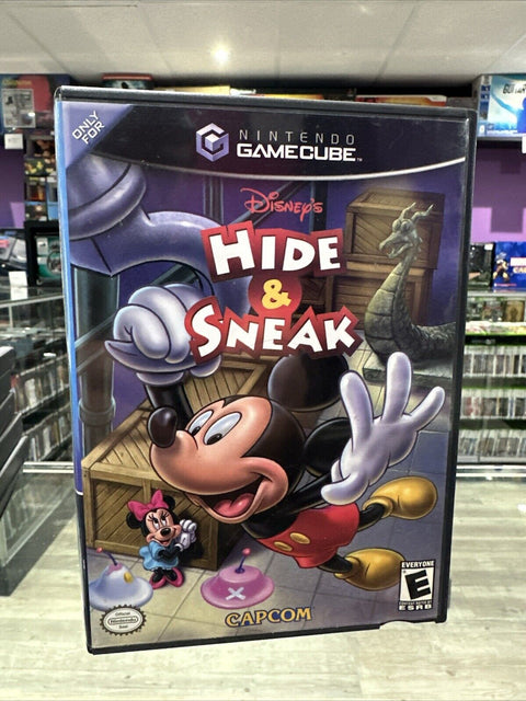 Disney's Hide & Sneak (Nintendo GameCube, 2003) CIB Complete Tested!