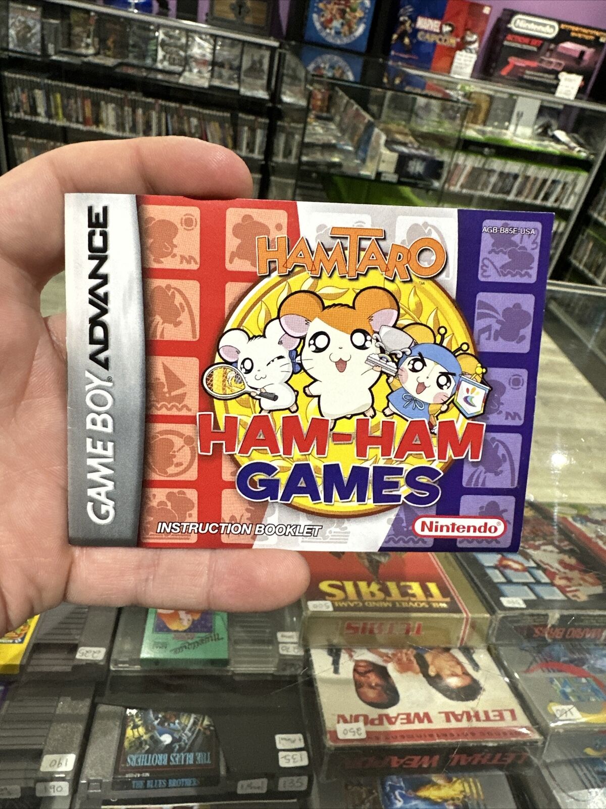 Hamtaro: Ham-Ham Games Gameboy Advance Instruction Booklet MANUAL ONLY ...