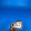 Chewbacca 2011 Hasbro Star Wars Galactic Heroes - 2.5 Inch Figure Only