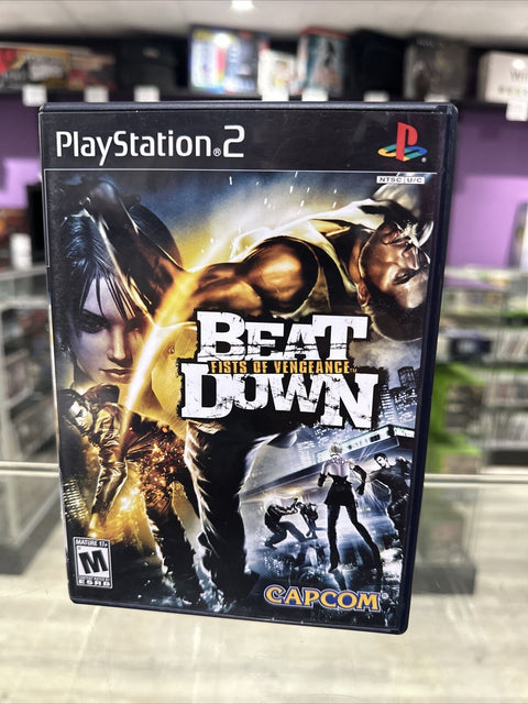 Beat Down: Fists of Vengeance (Sony PlayStation 2, 2005) PS2 Complete Tested!