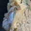 Emerald Porcelain Doll Collection - Natasha w/ Box + Certificate Of Authenticity