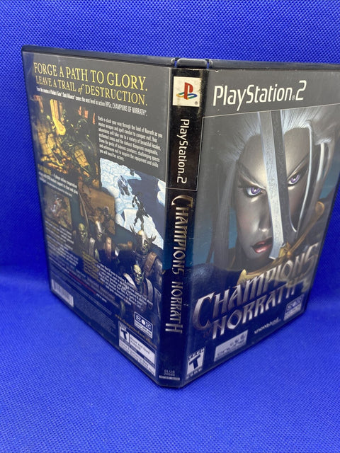 *NO GAME* Champions of Norrath (PlayStation 2, 2004) PS2 Case Only